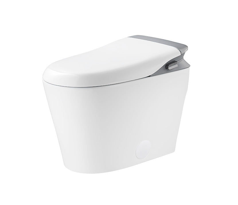 Heim Smart Toilet