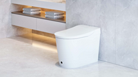 Brim Smart Toilet