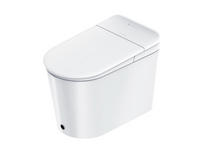 Brim Smart Toilet