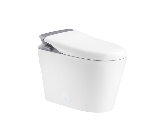 Heim Smart Toilet